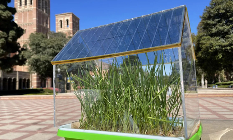Pin mặt trời làm từ vật liệu hữu cơ